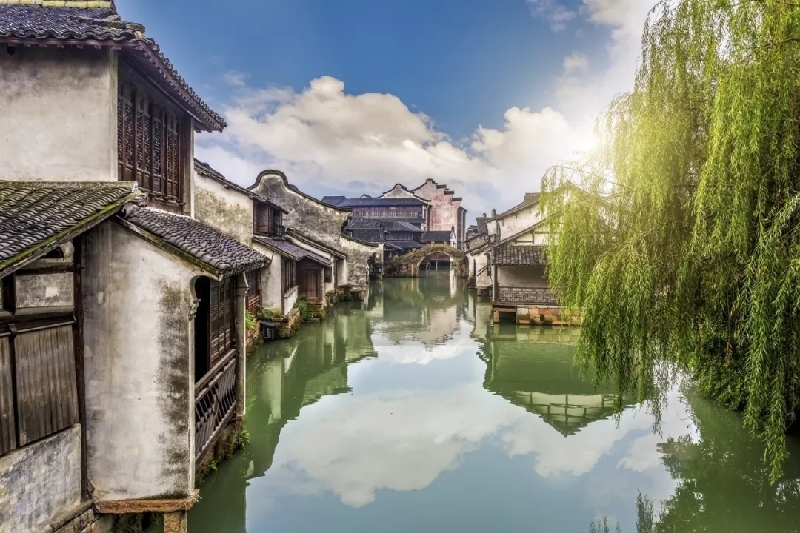 烏鎮(zhèn)動觀察｜這個字，牽起國際交流互鑒之紐帶