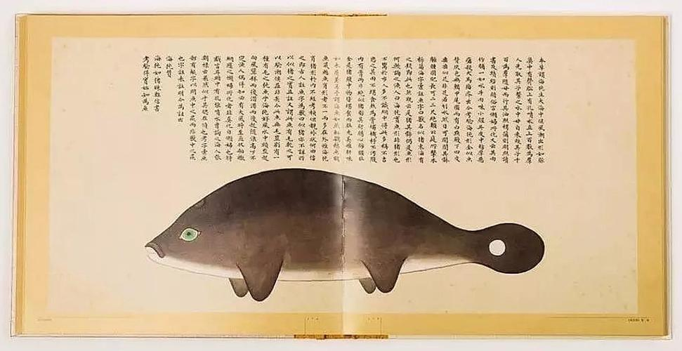 文化中國行 長江之歌丨微笑的江豚，從四千年前“游”來