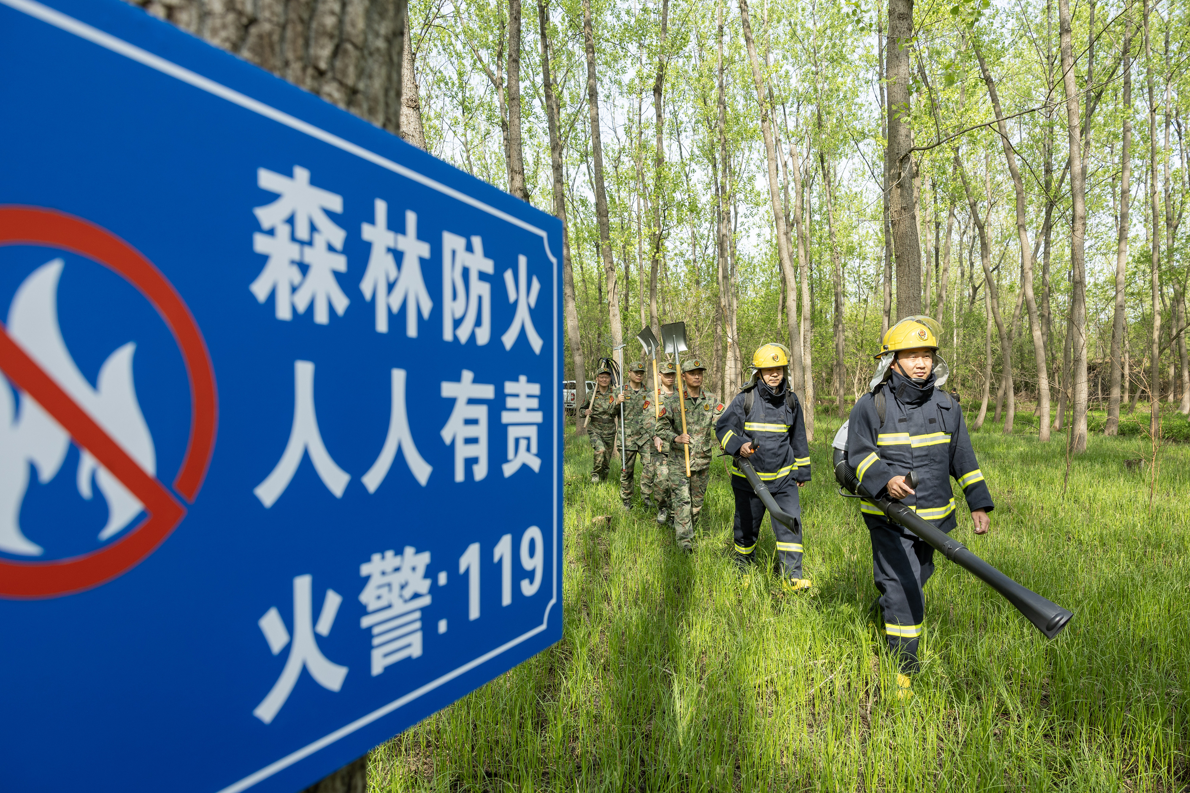 2024年4月9日，合肥市大房郢水庫水源保護(hù)地廬陽經(jīng)濟(jì)開發(fā)區(qū)段，基干民兵正在林間巡查火災(zāi)隱患。