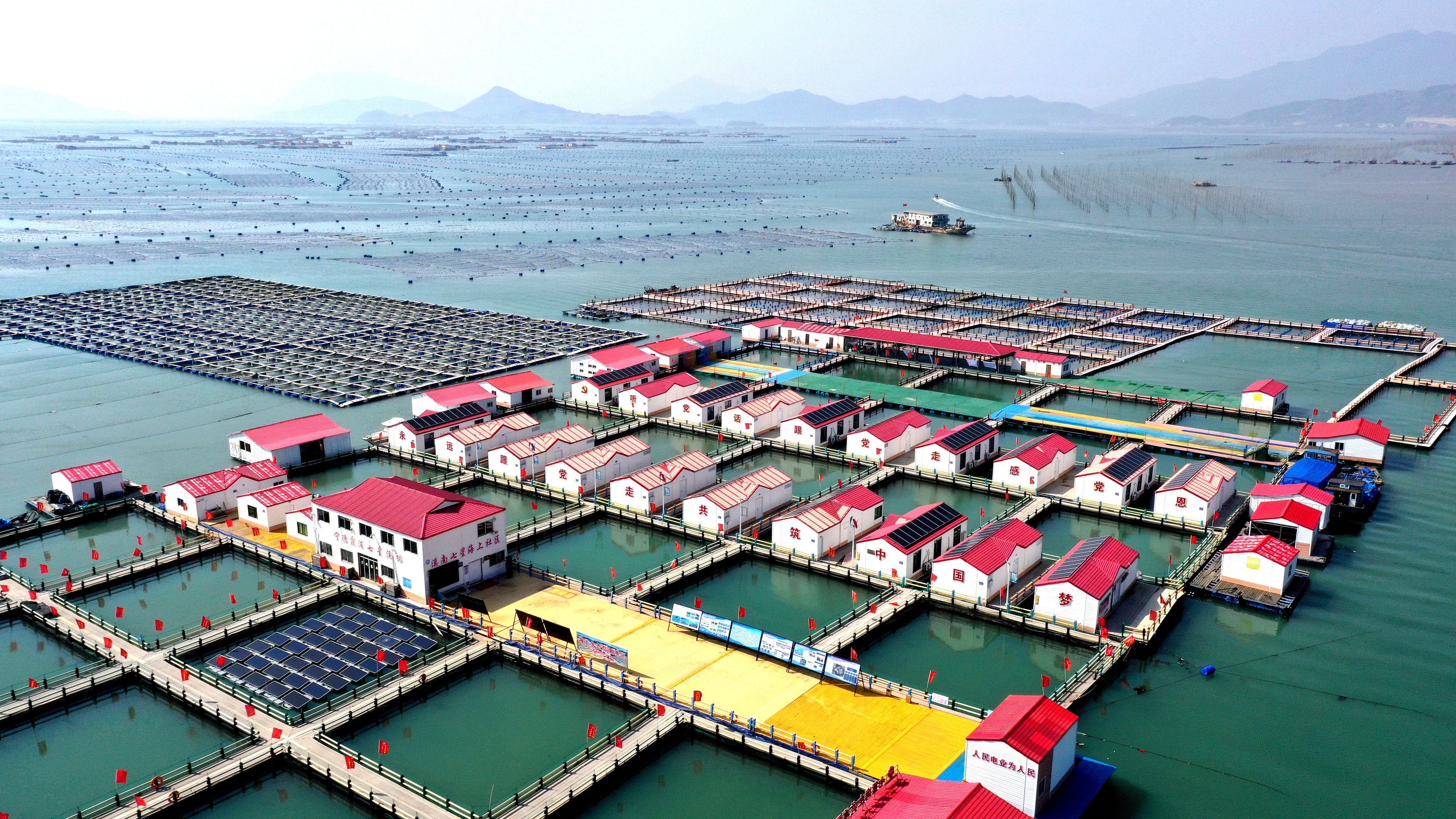 2024年3月20日，福建省寧德市，霞浦縣溪南鎮(zhèn)七星村漁排養(yǎng)殖示范區(qū)，漁民駕駛養(yǎng)殖船進行海參養(yǎng)殖作業(yè)。