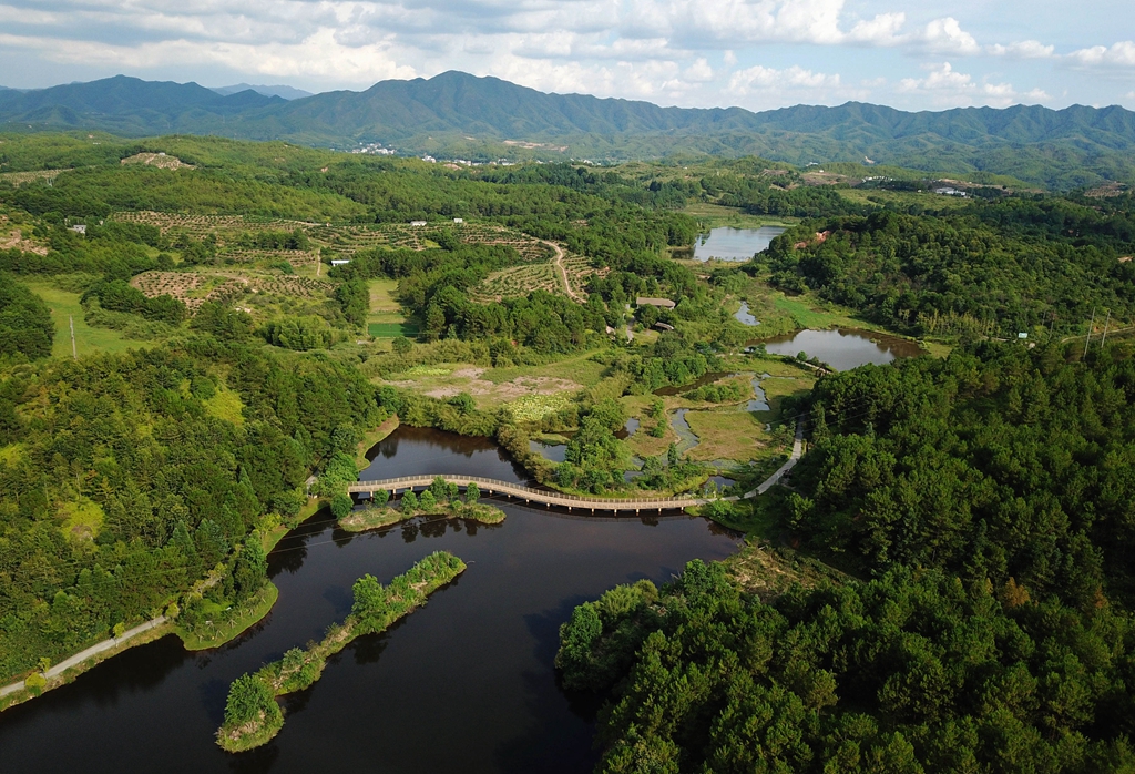 福建省龍巖市長(zhǎng)汀縣的長(zhǎng)汀汀江國家濕地公園景色（2020年7月28日攝，無人機(jī)照片）。新華社記者 魏培全 攝