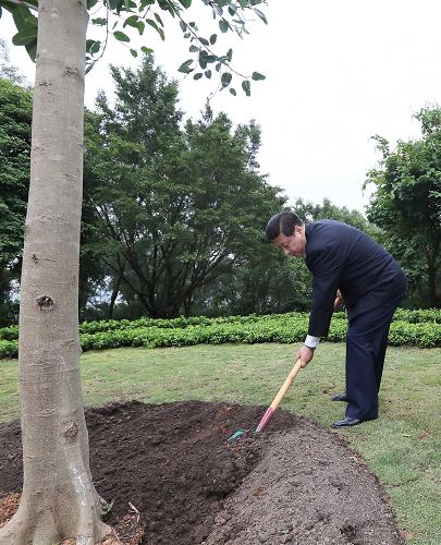 2012年12月7日至11日，習(xí)近平在廣東省考察工作。這是8日上午，習(xí)近平在深圳蓮花山公園種下一棵高山榕樹。新華社記者 蘭紅光 攝