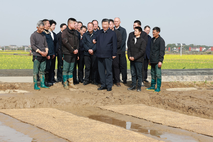 2024年3月18日至21日，中共中央總書記、國(guó)家主席、中央軍委主席習(xí)近平在湖南考察。這是19日下午，習(xí)近平在常德市鼎城區(qū)謝家鋪鎮(zhèn)港中坪村走進(jìn)田間，察看秧苗培育和春耕備耕進(jìn)展。新華社記者 王曄 攝