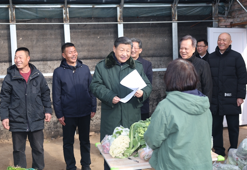 2024年2月1日，習(xí)近平總書記在天津市西青區(qū)辛口鎮(zhèn)第六埠村，走進(jìn)大棚同菜農(nóng)親切交流。