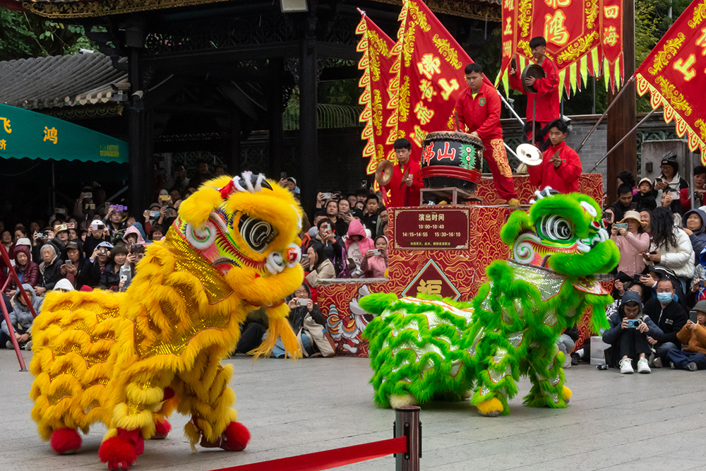 圖為廣東省佛山市祖廟的醒獅表演。