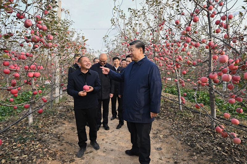 2022年10月26日，習近平總書記在陜西省延安市安塞區(qū)高橋鎮(zhèn)南溝村的蘋果園里同老鄉(xiāng)們親切交流。