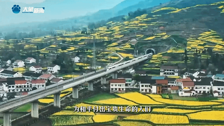 家國(guó)永念 | 看，山河已無(wú)恙
