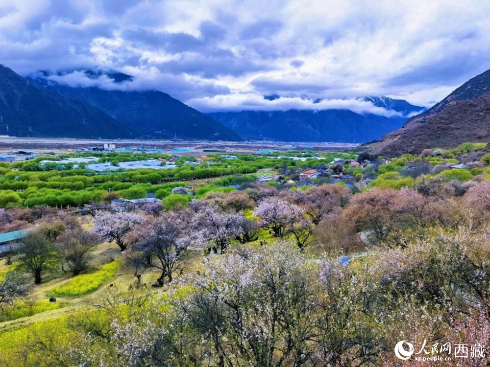 桃花從中的“童話小鎮(zhèn)”。人民網(wǎng) 李海霞攝