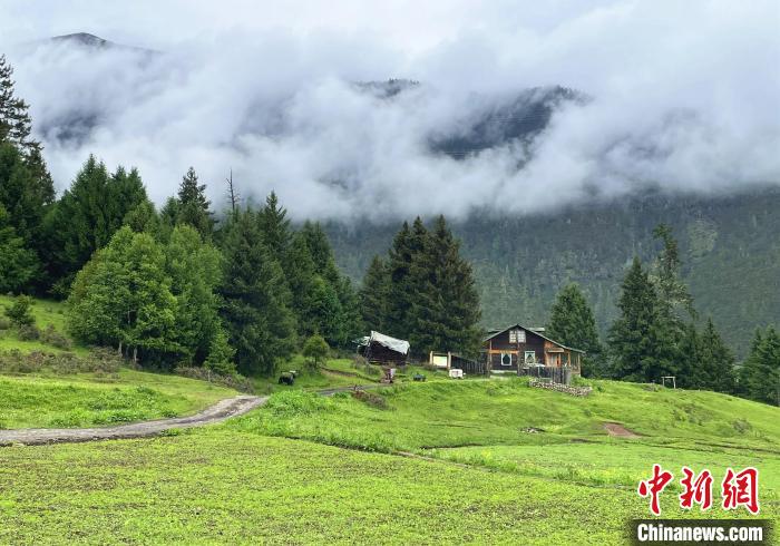 6月10日，魯朗小鎮(zhèn)高山牧場景區(qū)風光?！∪轿木?攝