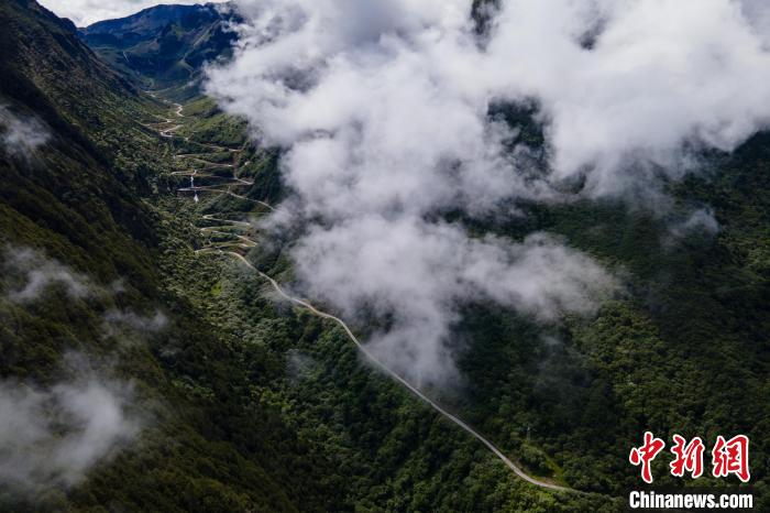 西藏山南勒布溝景區(qū)的盤山公路被云霧環(huán)繞。　江飛波 攝