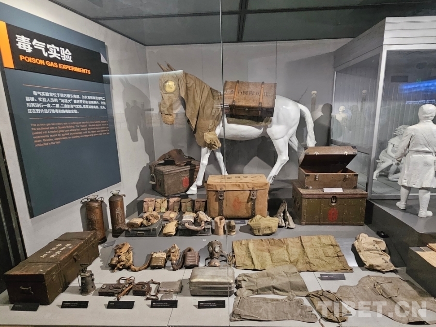 MEITU_20240813_215425333 MEITU_20240813_215425333