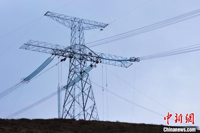 高原藏區(qū)電力線路建設(shè)者：高寒缺氧、扎刺掛彩是常事