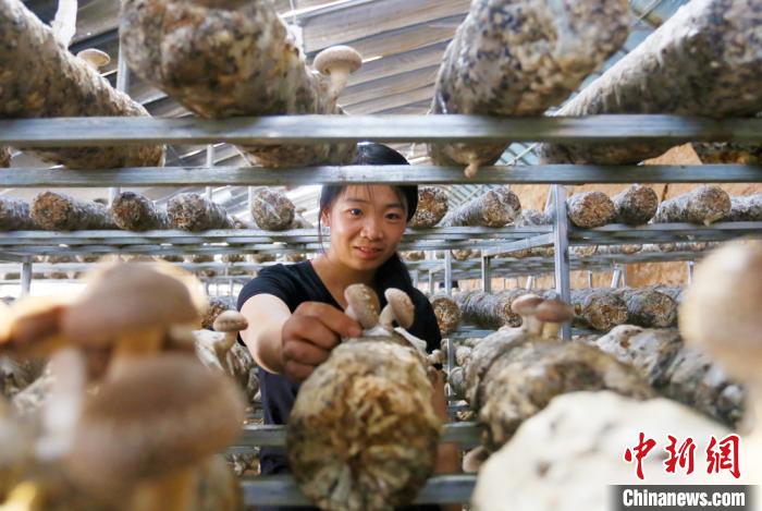 甘肅天?！跋愎椒蚱蕖毕律饺氪ǎ捍笈锢镉板X景”