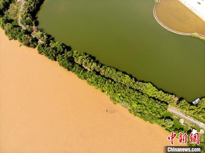 圖為2020年9月3日航拍黃河蘭州段濕地公園現(xiàn)黃河“鴛鴦鍋”。(資料圖) 高瑩 攝