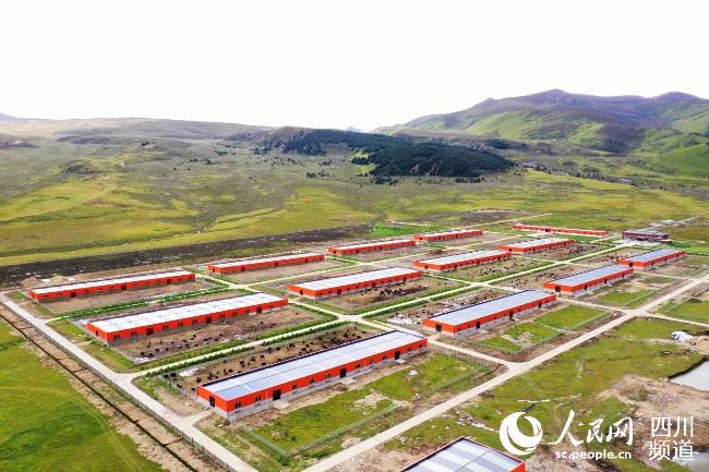 建設(shè)中的理塘縣牦牛產(chǎn)業(yè)園。葉強(qiáng)平攝