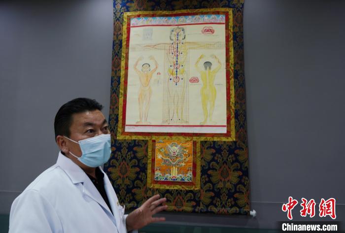 圖為興海縣藏醫(yī)院院長(zhǎng)介紹藏醫(yī)四部醫(yī)典詳實(shí)圖。　馬銘言 攝