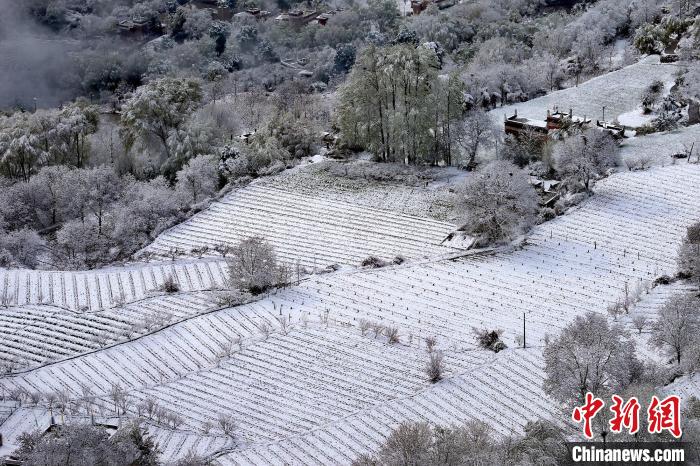雪后的高山田間如畫?！±钣腊?攝