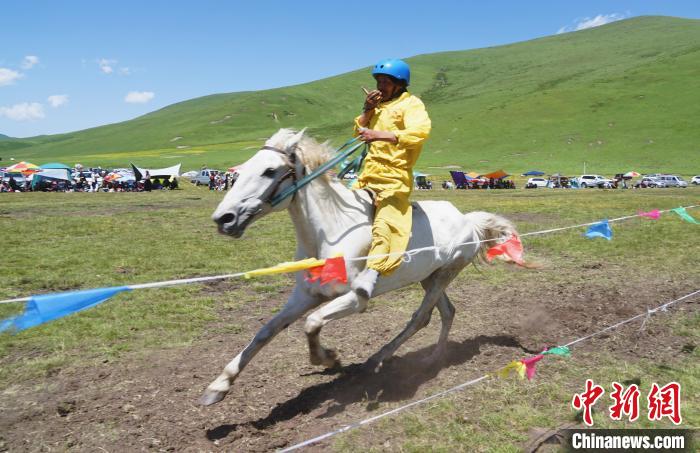 圖為選手進(jìn)行3000米賽馬比賽。　馬銘言 攝