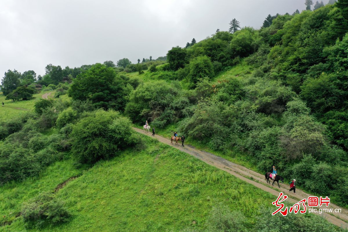 四川九寨溝:生態(tài)旅游漸熱