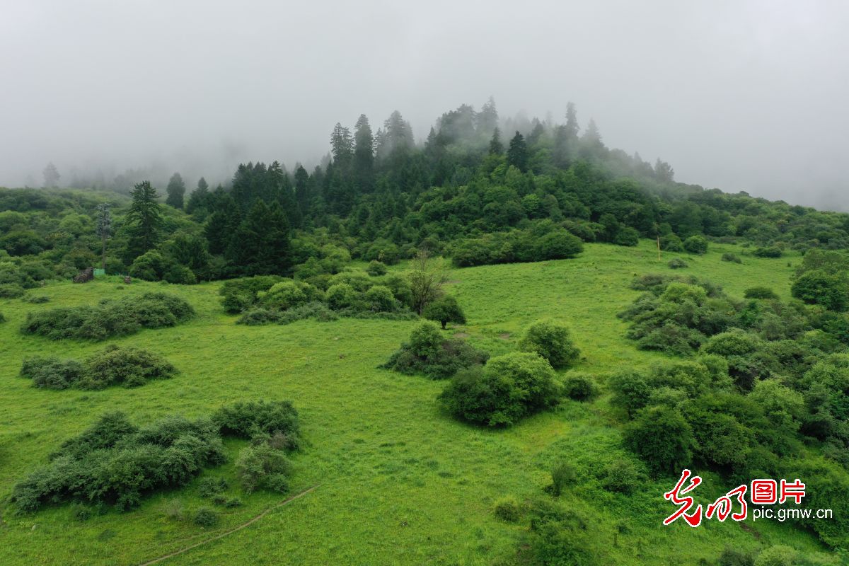 四川九寨溝:生態(tài)旅游漸熱