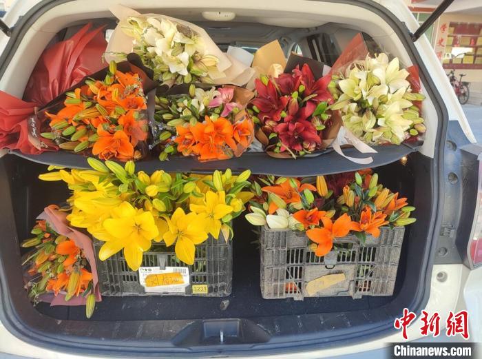 剛剛采摘下來的百合花?！∪捞量h委宣傳部供圖