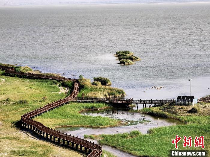 圖為都蘭湖國家濕地公園觀光棧道?！∑钤鲚?攝