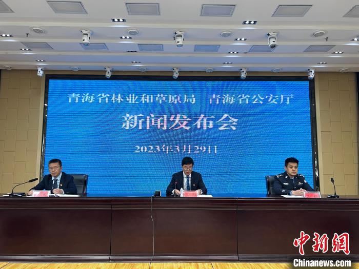 青海去年占用林地、草地準予許可件同比實現(xiàn)“雙減”