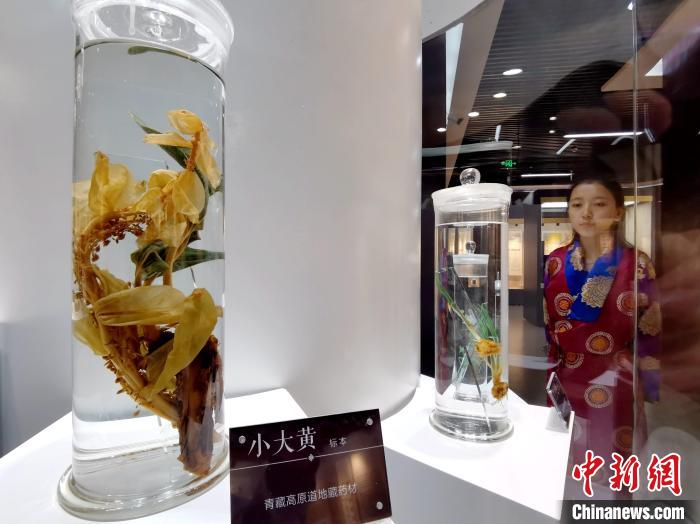 青海中藏醫(yī)藥發(fā)展提速：建設(shè)一批重點?？茖W(xué)科，推廣一批適宜技術(shù)