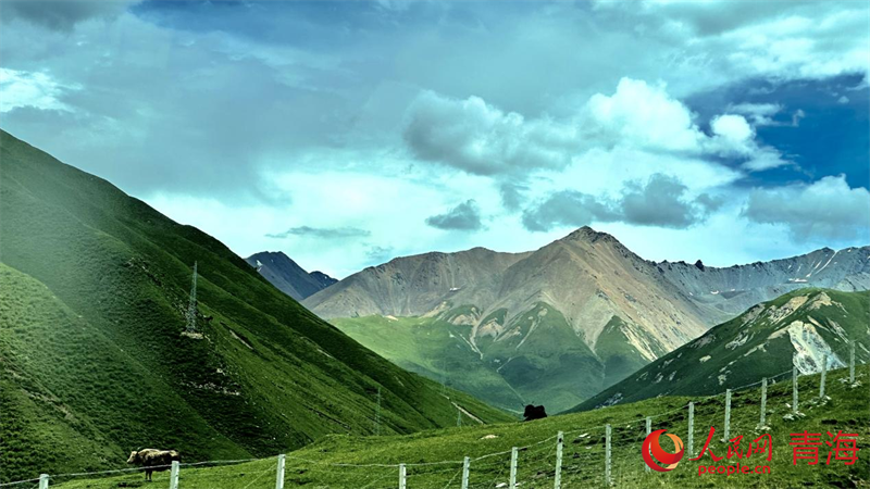 果洛風(fēng)光。人民網(wǎng) 劉沛然攝
