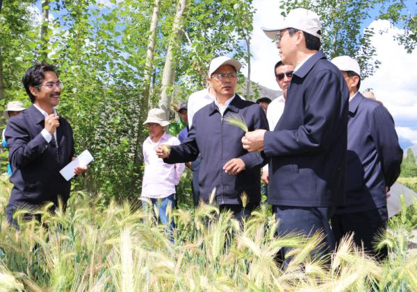 全國表彰大會上，為什么只有他沒到？