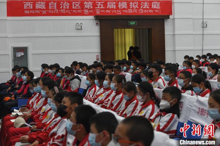 圖為西藏自治區(qū)第五屆模擬法庭現(xiàn)場。　貢嘎來松 攝