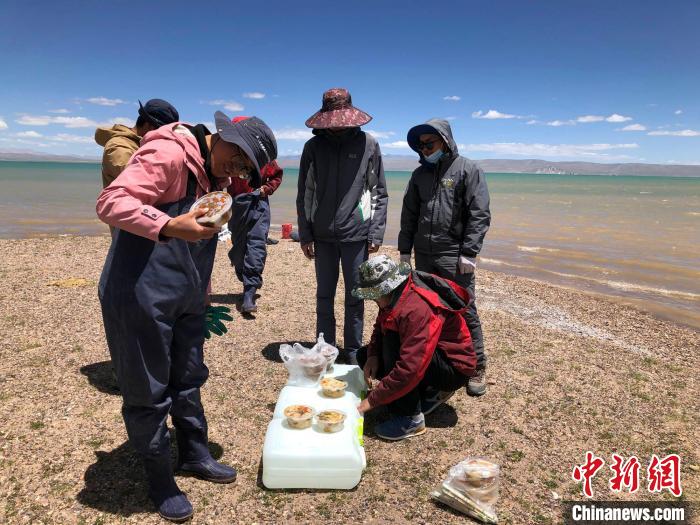 科考隊(duì)員在高原湖泊岸邊進(jìn)餐。　<a target='_blank' ><p  align=