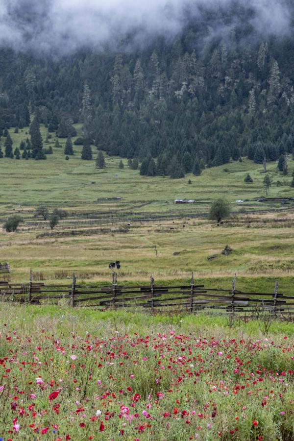 跟我，踏上最美“景觀大道”