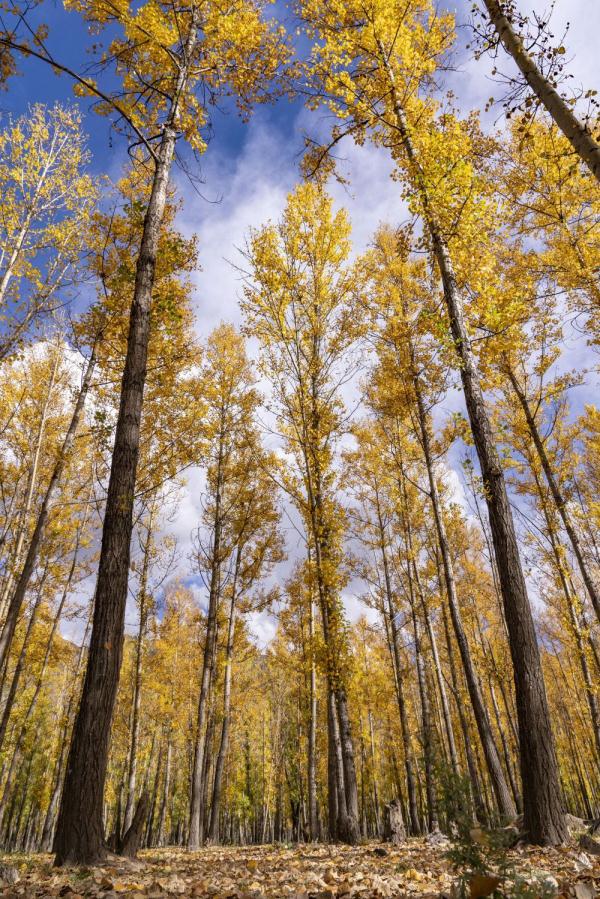 跟我，踏上最美“景觀大道”