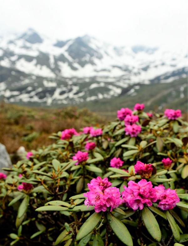 跟我，踏上最美“景觀大道”