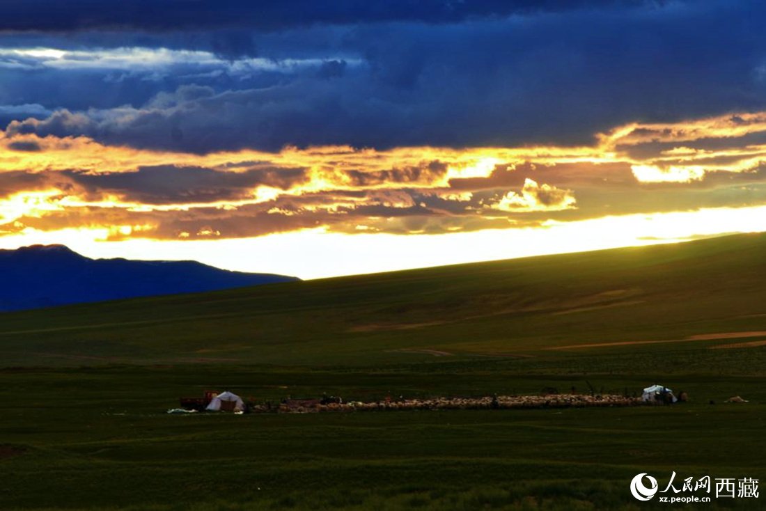 黃昏下的帳篷，牧民過著幸福生活。 人民網(wǎng) 李海霞攝