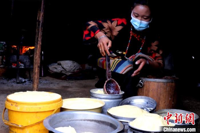 圖為牧民正在制作酥油?！∪湛t文聯(lián)供圖