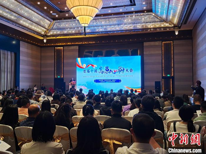 圖為首屆中國高原心胸大會(huì)現(xiàn)場(chǎng)?！☆D旦旺姆 攝