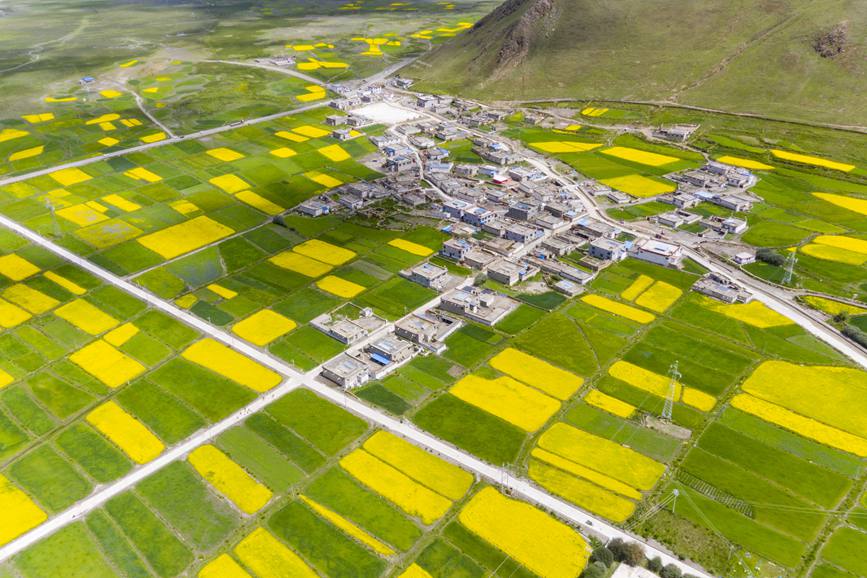 航拍道布龍村，依山傍水，阡陌縱橫。