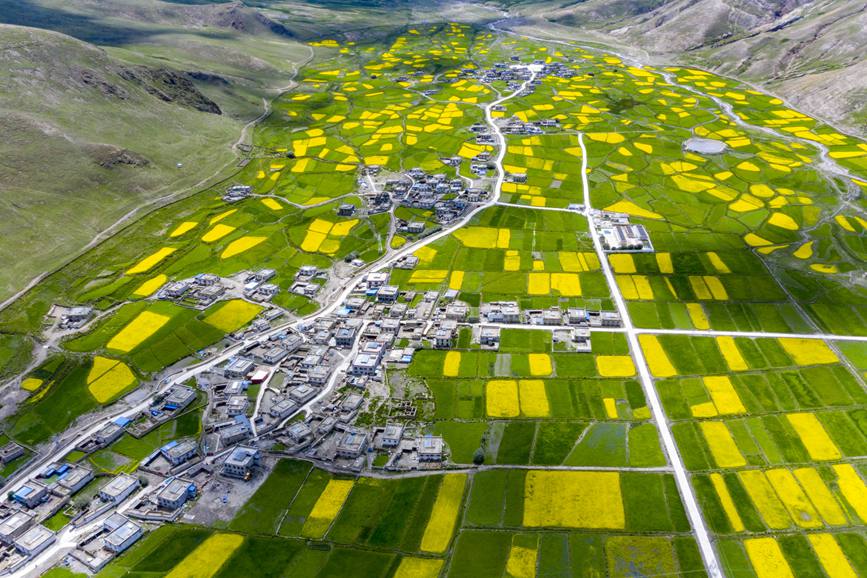 航拍道布龍村，依山傍水，阡陌縱橫。