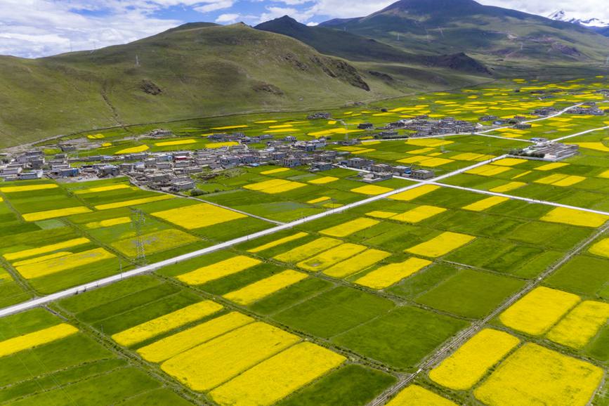 航拍道布龍村，依山傍水，阡陌縱橫。