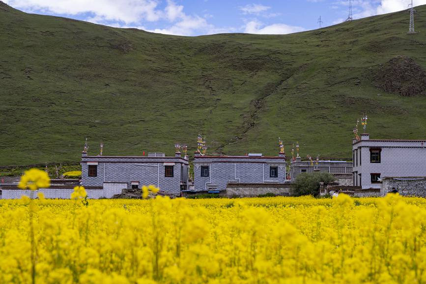 環(huán)境優(yōu)美的道布龍村一角。