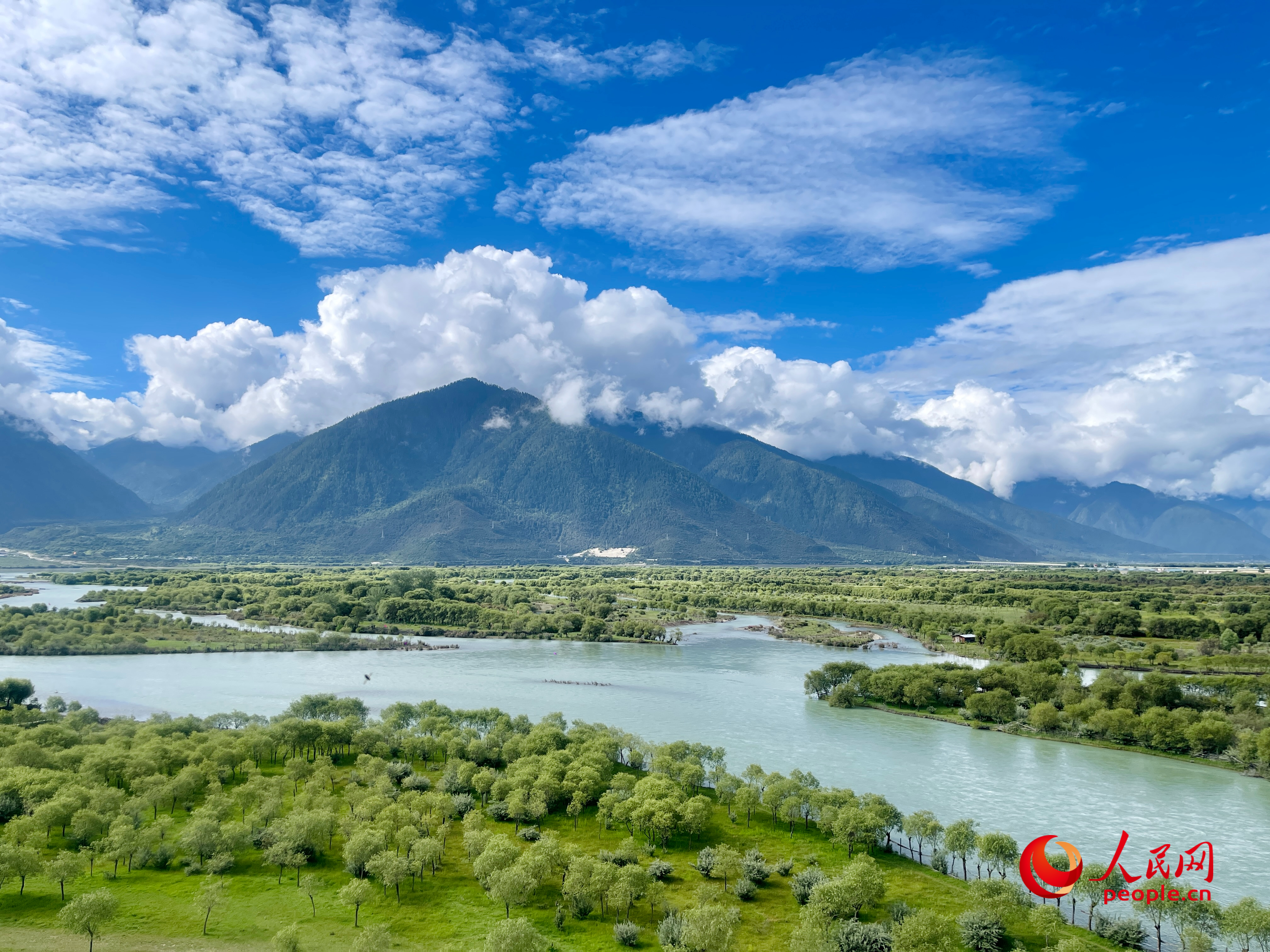 夏日的雅尼國(guó)家濕地公園生機(jī)盎然，如詩(shī)如畫(huà)。人民網(wǎng) 周靜圓攝