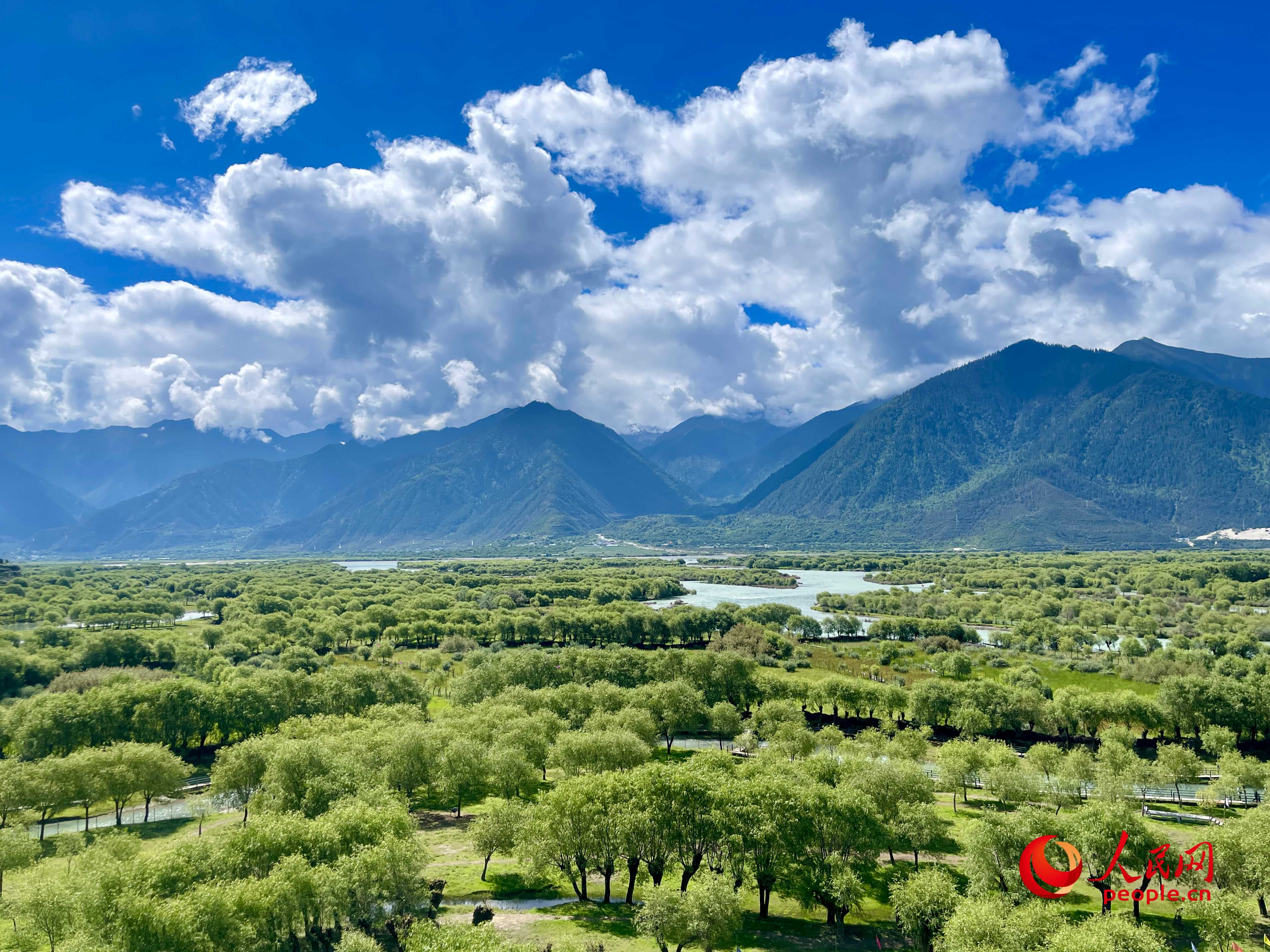 夏日的雅尼國(guó)家濕地公園生機(jī)盎然，如詩(shī)如畫(huà)。人民網(wǎng) 周靜圓攝