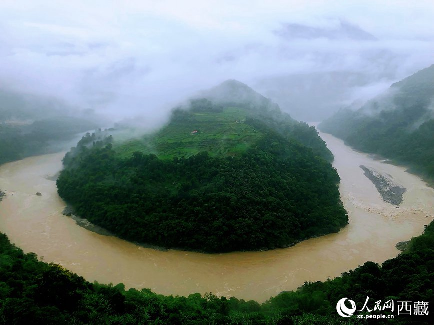 雅魯藏布江大峽谷蛇形拐彎處，山坡上種滿茶樹。