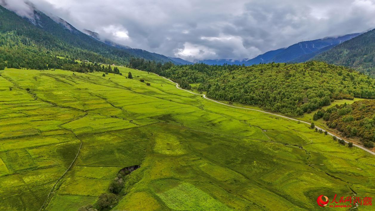圖為航拍高山牧場鳥瞰圖。人民網(wǎng)記者 次仁羅布攝