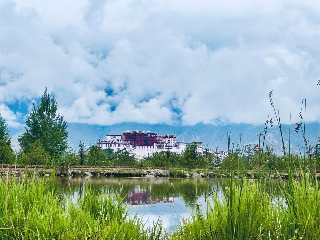 在南山公園遠(yuǎn)眺布達(dá)拉宮。人民網(wǎng)記者 益西康珠攝