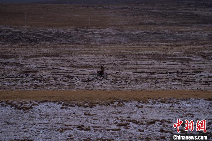 西藏安多:牧民雪中放牧美景如畫