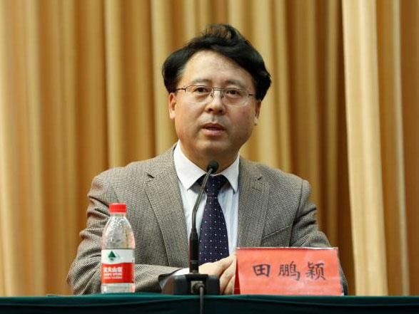 田鵬穎：投入其中、樂在其中、安身其中