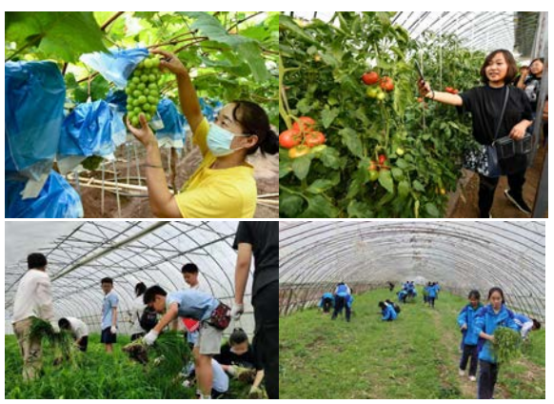 64afe8997415847346a2df2b05311682.png 圖片1.png